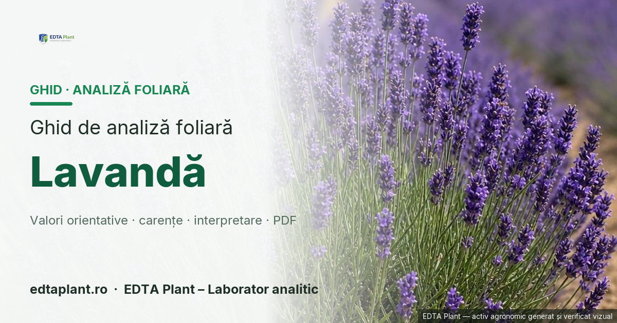 Lavandă (Lavandula angustifolia Mill. / Lavandula spp.) — ghid de analiză foliară EDTA Plant
