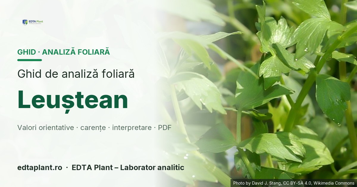 Leuștean (Levisticum officinale W.D.J.Koch) — ghid de analiză foliară EDTA Plant