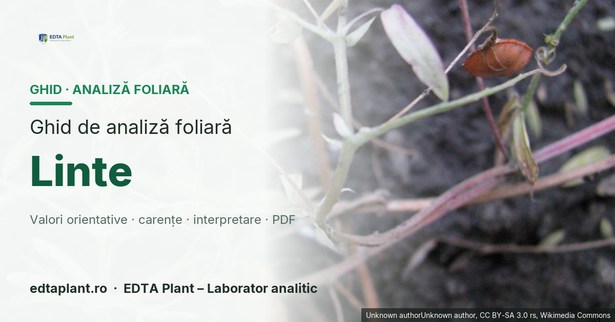 Linte (Lens culinaris Medik.) — ghid de analiză foliară EDTA Plant