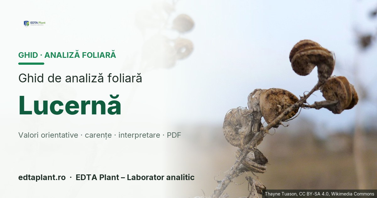 Lucernă (Medicago sativa L.) — ghid de analiză foliară EDTA Plant