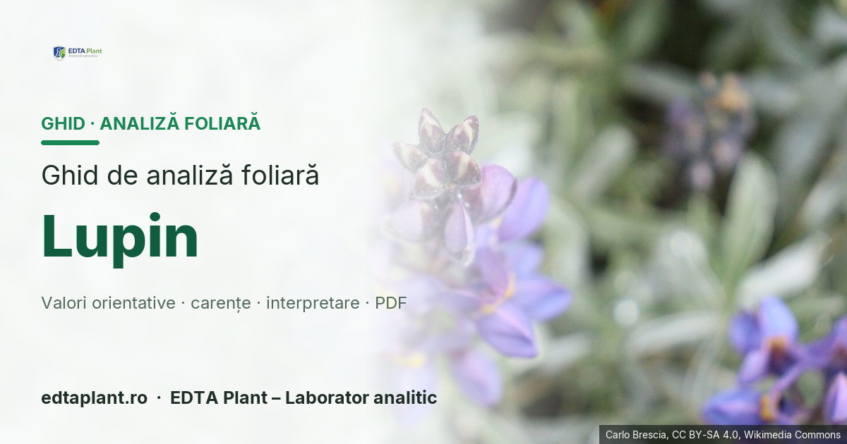 Lupin (Lupinus spp. — specie de confirmat) — ghid de analiză foliară EDTA Plant