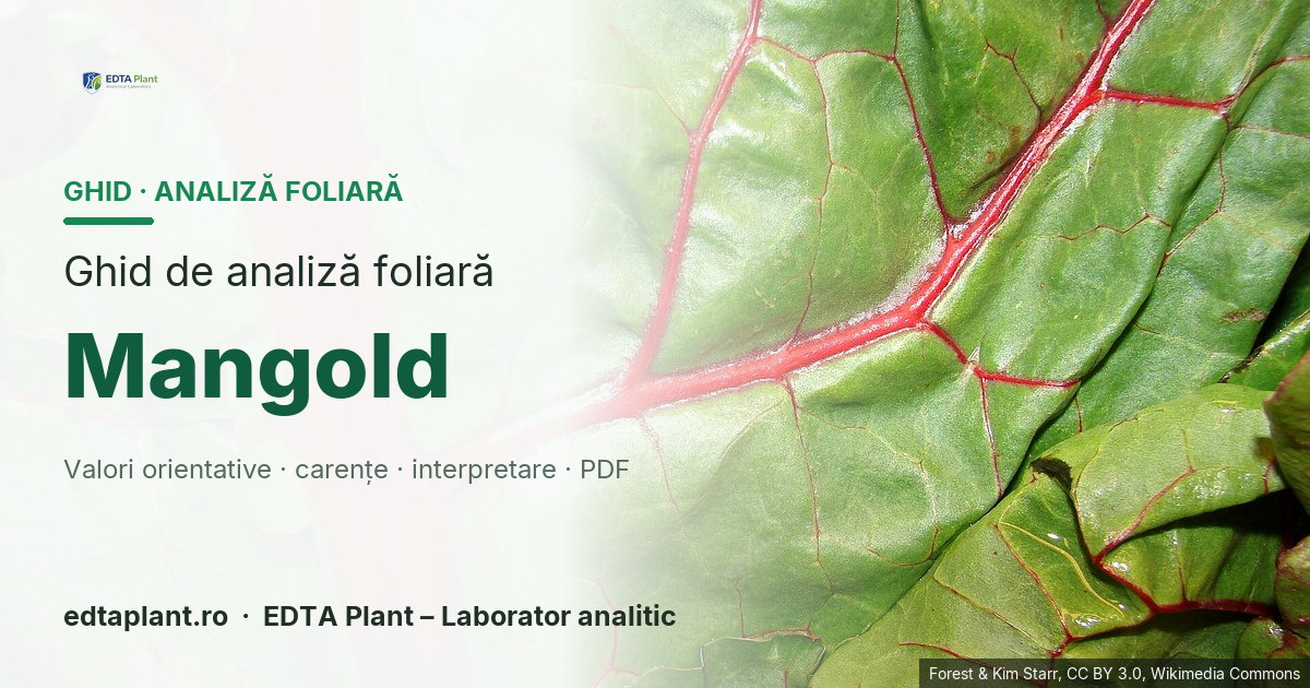 Mangold (Beta vulgaris cicla group) — ghid de analiză foliară EDTA Plant
