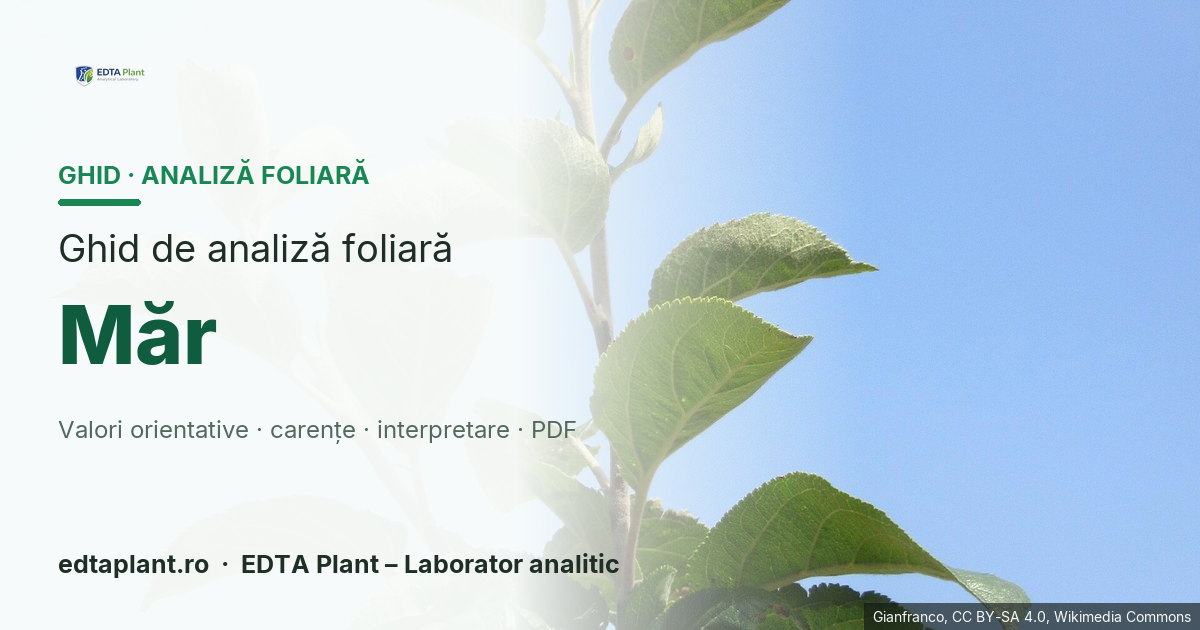 Măr (Malus domestica Borkh.) — ghid de analiză foliară EDTA Plant