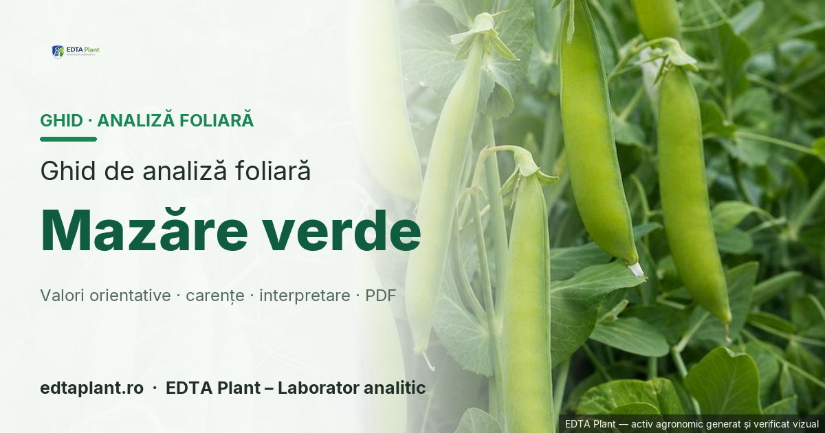 Mazăre verde (Pisum sativum L.) — ghid de analiză foliară EDTA Plant
