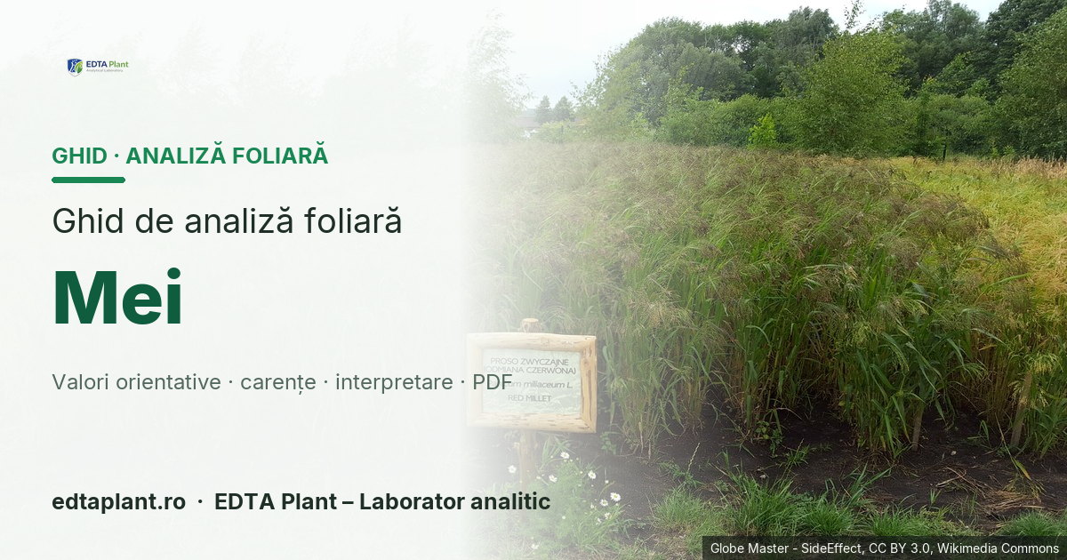 Mei (Panicum miliaceum L.) — ghid de analiză foliară EDTA Plant