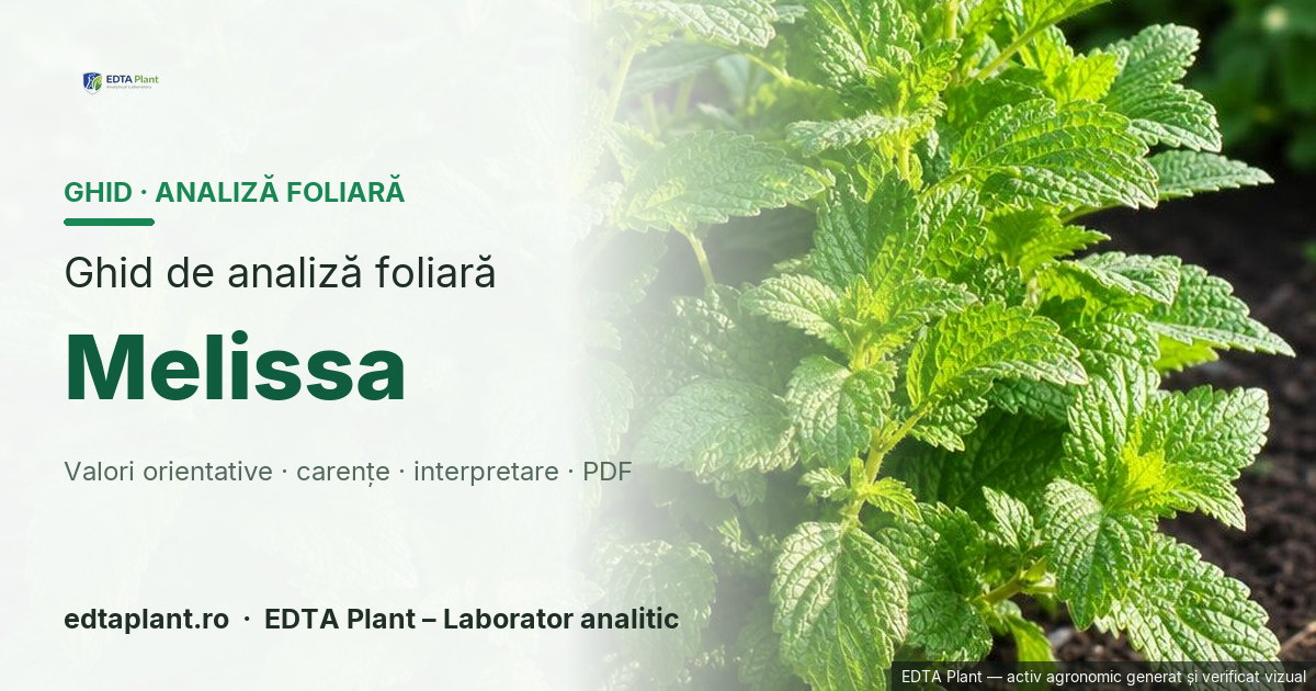 Melissa (Melissa officinalis L.) — ghid de analiză foliară EDTA Plant