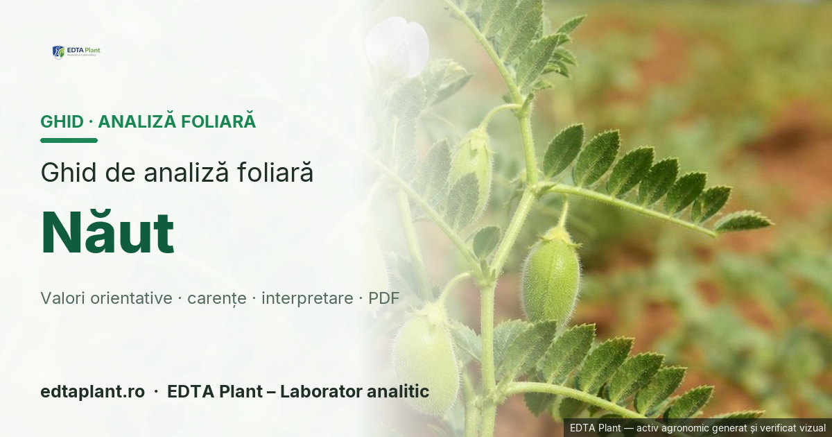 Năut (Cicer arietinum L.) — ghid de analiză foliară EDTA Plant