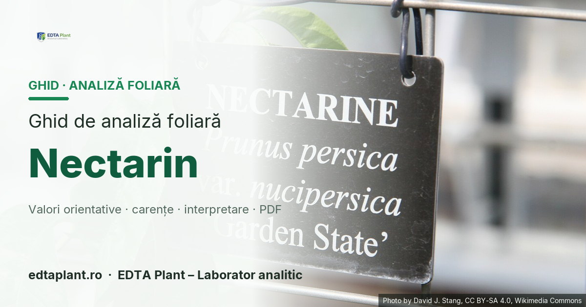 Nectarin (Prunus persica var. nucipersica) — ghid de analiză foliară EDTA Plant
