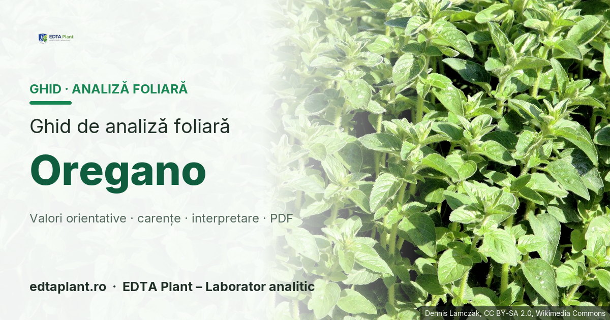 Oregano (Origanum vulgare L.) — ghid de analiză foliară EDTA Plant