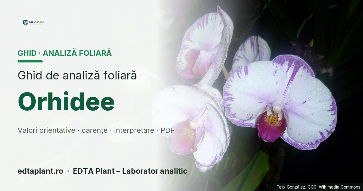 Orhidee (Orchidaceae; profil multispecie) — ghid de analiză foliară EDTA Plant