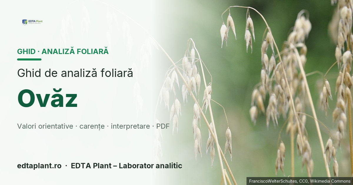 Ovăz (Avena sativa L.) — ghid de analiză foliară EDTA Plant