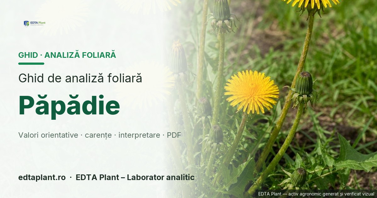 Păpădie (Taraxacum officinale agg.) — ghid de analiză foliară EDTA Plant