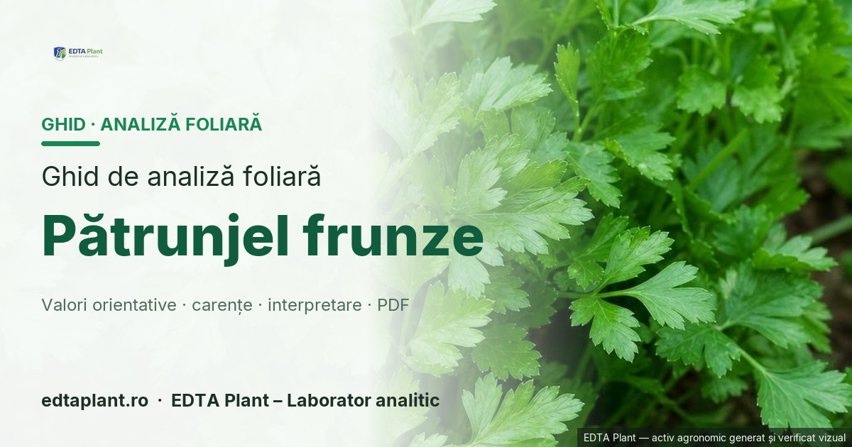 Pătrunjel frunze (Petroselinum crispum (Mill.) Fuss) — ghid de analiză foliară EDTA Plant