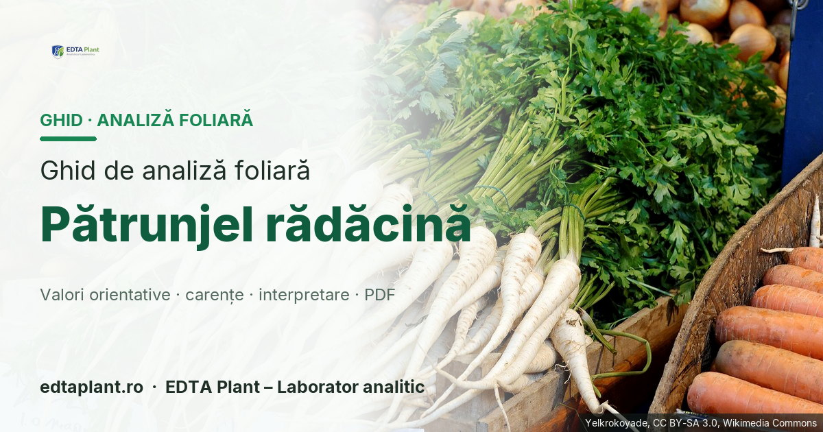 Pătrunjel rădăcină (Petroselinum crispum var. tuberosum) — ghid de analiză foliară EDTA Plant