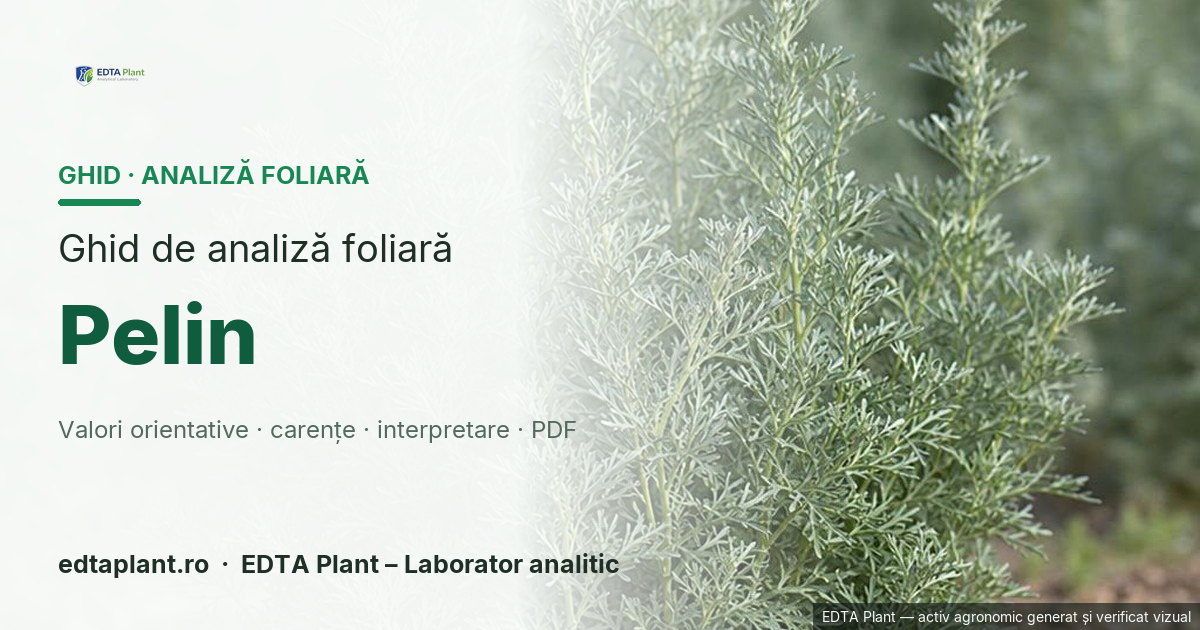 Pelin (Artemisia absinthium L.) — ghid de analiză foliară EDTA Plant