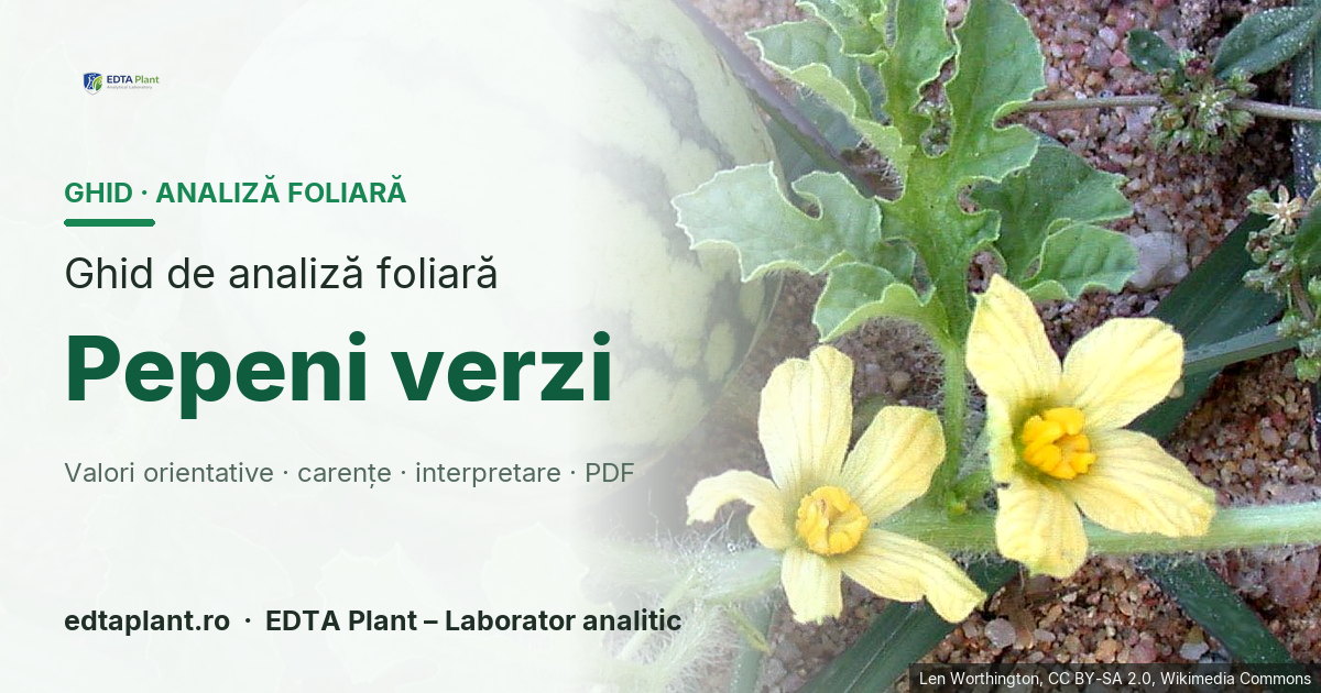 Pepeni verzi (Citrullus lanatus (Thunb.) Matsum. & Nakai) — ghid de analiză foliară EDTA Plant