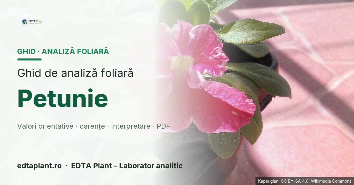 Petunie (Petunia × atkinsiana / Petunia spp.) — ghid de analiză foliară EDTA Plant