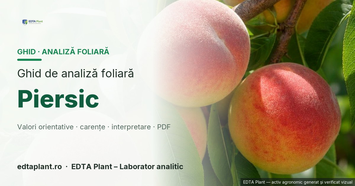 Piersic (Prunus persica (L.) Batsch) — ghid de analiză foliară EDTA Plant