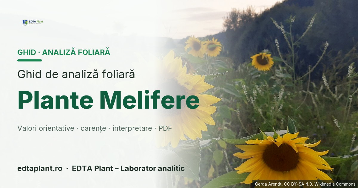 Plante Melifere (Plante melifere — grup funcțional multispecie; ramuri Phacelia/Fagopyrum/Trifolium/Brassica etc.) — ghid de analiză foliară EDTA Plant