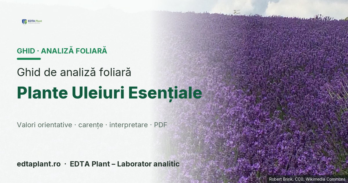 Plante Uleiuri Esențiale (Plante pentru uleiuri esențiale — grup funcțional multispecie; ramuri Lavandula/Ocimum/Mentha și alte aromatice) — ghid de analiză foliară EDTA Plant