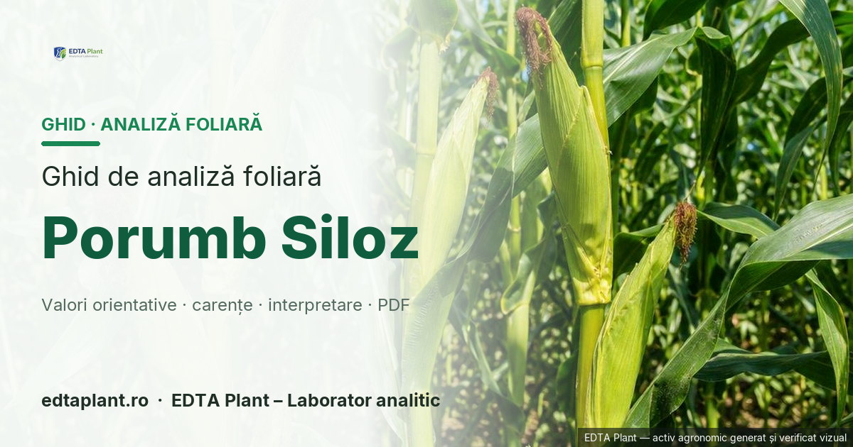 Porumb Siloz (Zea mays L.) — ghid de analiză foliară EDTA Plant