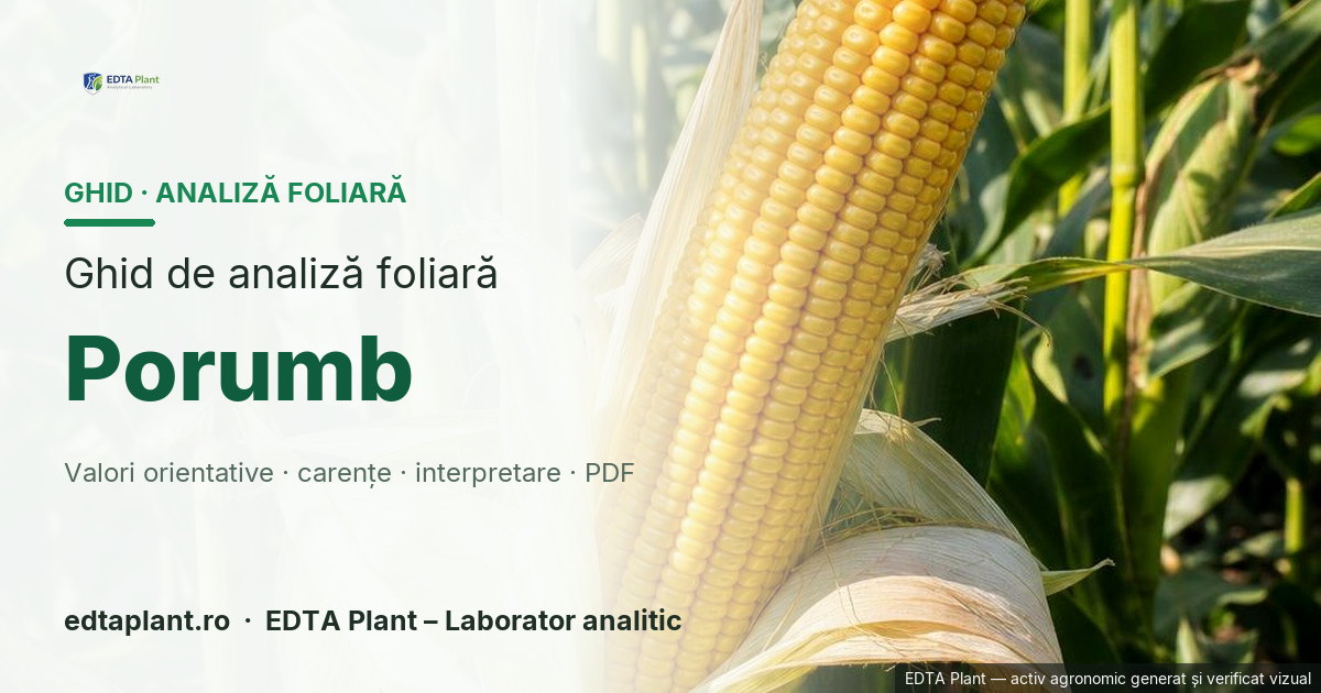 Porumb (Zea mays L.) — ghid de analiză foliară EDTA Plant