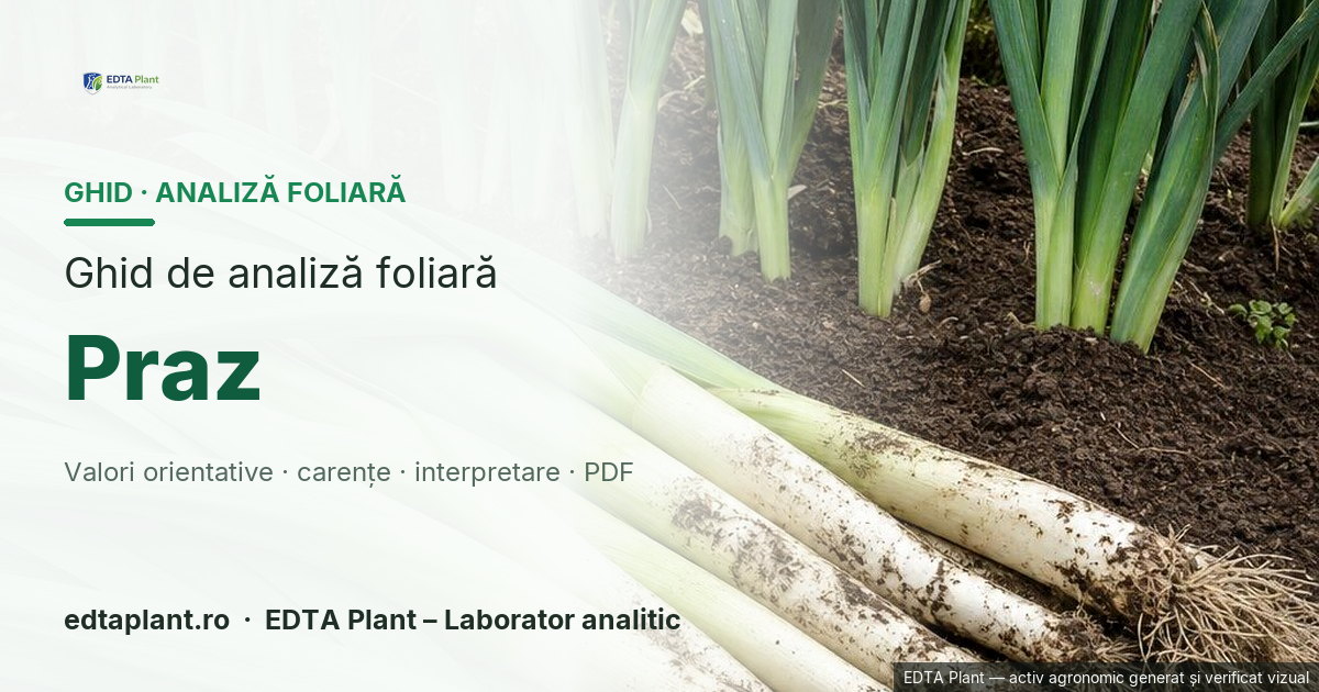 Praz (Allium ampeloprasum var. porrum / Allium porrum) — ghid de analiză foliară EDTA Plant