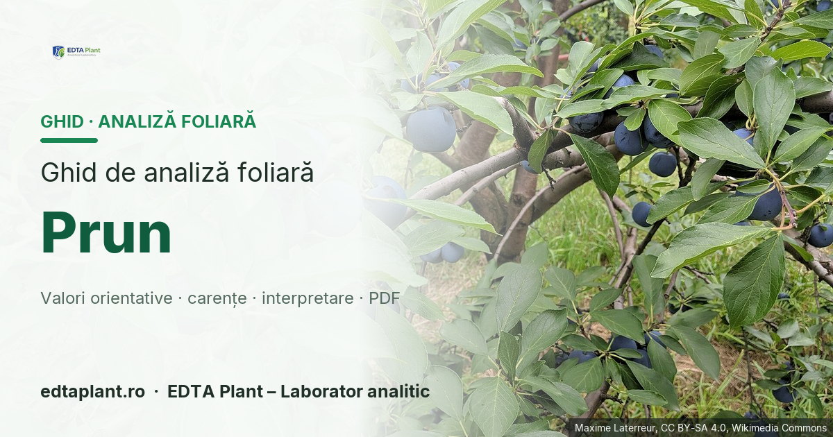 Prun (Prunus domestica L.) — ghid de analiză foliară EDTA Plant