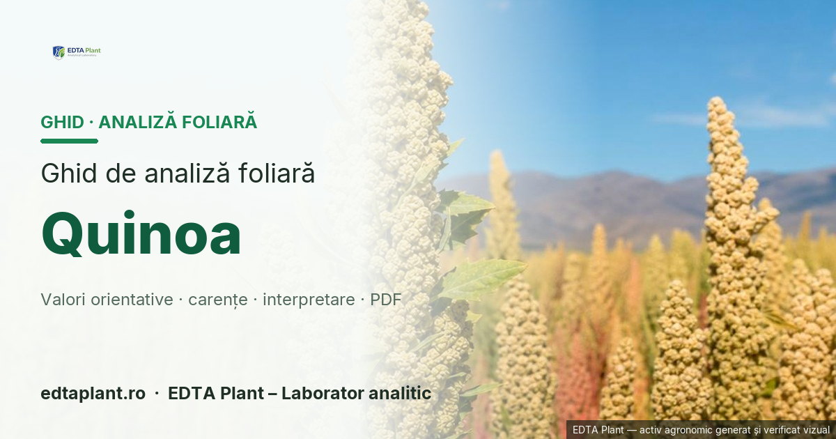 Quinoa (Chenopodium quinoa Willd.) — ghid de analiză foliară EDTA Plant