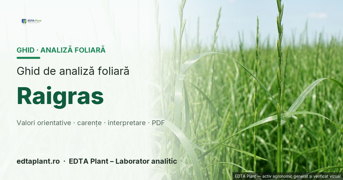 Raigras (Lolium spp. (L. multiflorum/L. perenne, după profil)) — ghid de analiză foliară EDTA Plant