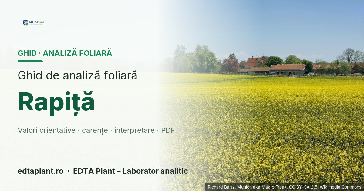 Rapiță (Brassica napus L.) — ghid de analiză foliară EDTA Plant