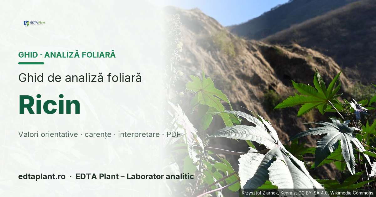 Ricin (Ricinus communis L.) — ghid de analiză foliară EDTA Plant