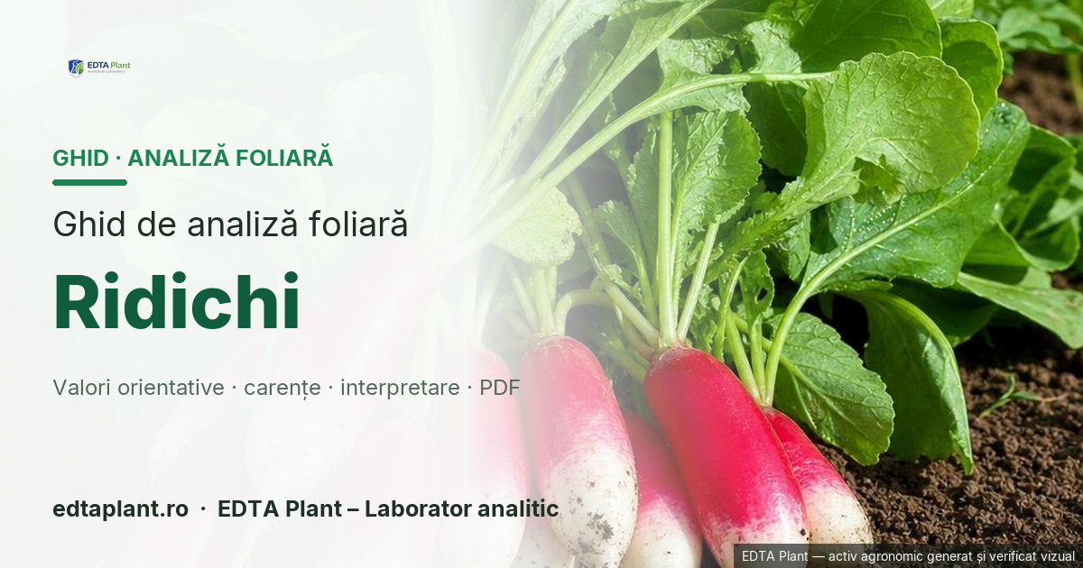 Ridichi (Raphanus sativus L.) — ghid de analiză foliară EDTA Plant