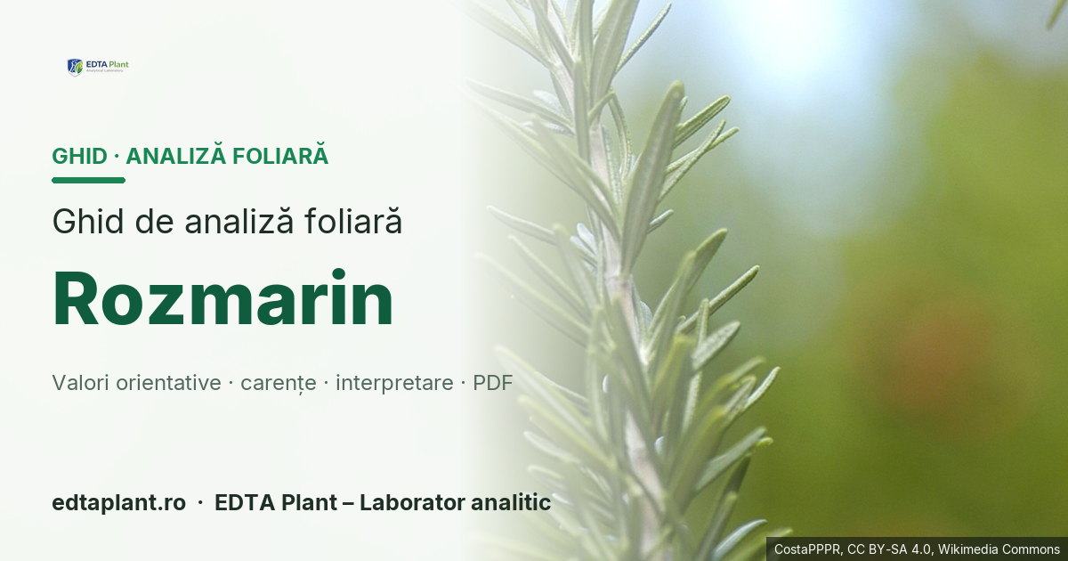 Rozmarin (Salvia rosmarinus Spenn. (syn. Rosmarinus officinalis)) — ghid de analiză foliară EDTA Plant