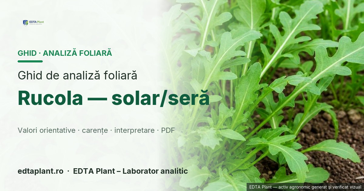Rucola — solar/seră (Eruca/Diplotaxis — taxon de confirmat) — ghid de analiză foliară EDTA Plant