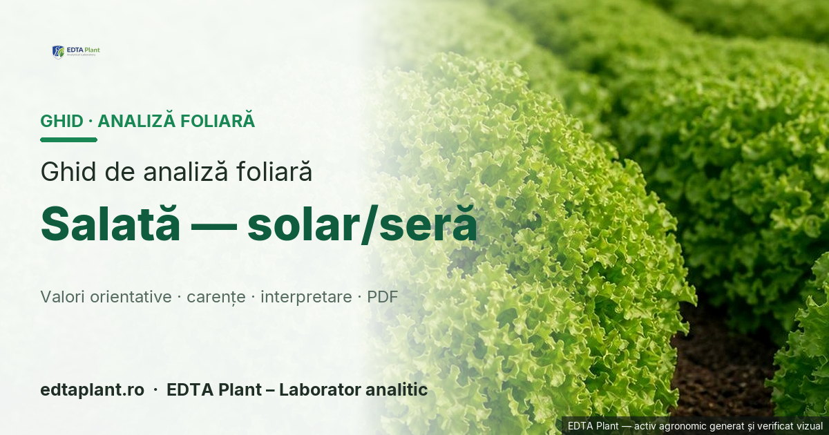 Salată — solar/seră (Lactuca sativa L.) — ghid de analiză foliară EDTA Plant