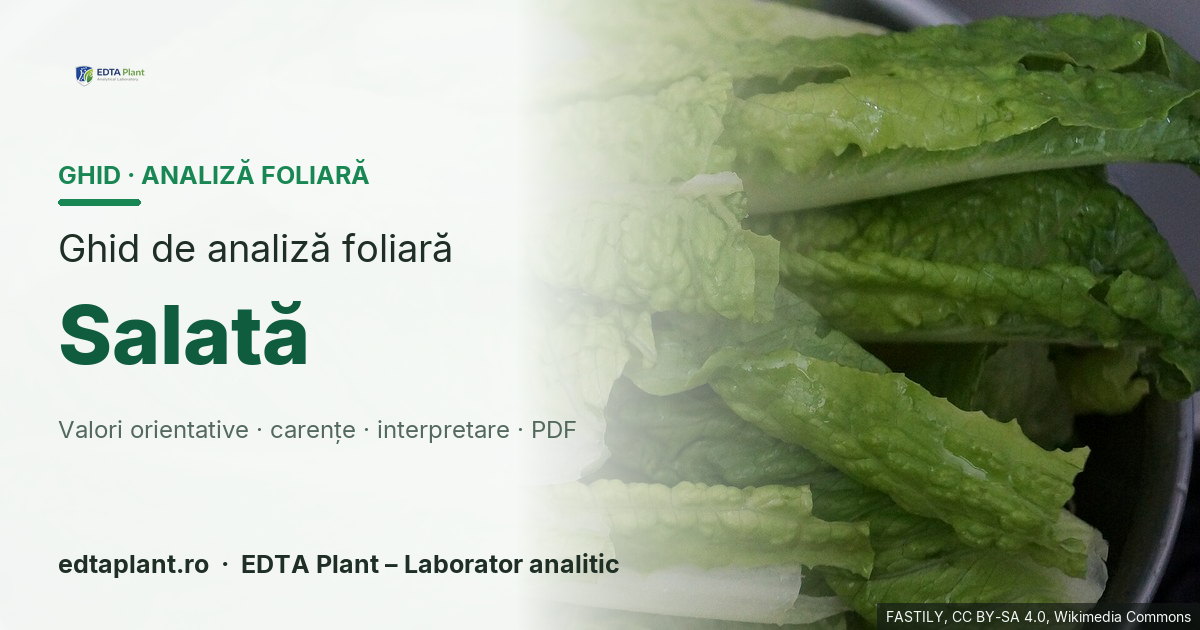 Salată (Lactuca sativa L.) — ghid de analiză foliară EDTA Plant