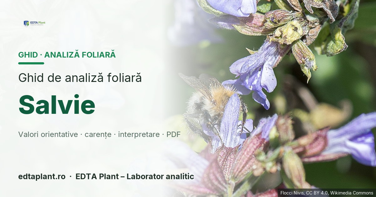 Salvie (Salvia officinalis L.) — ghid de analiză foliară EDTA Plant