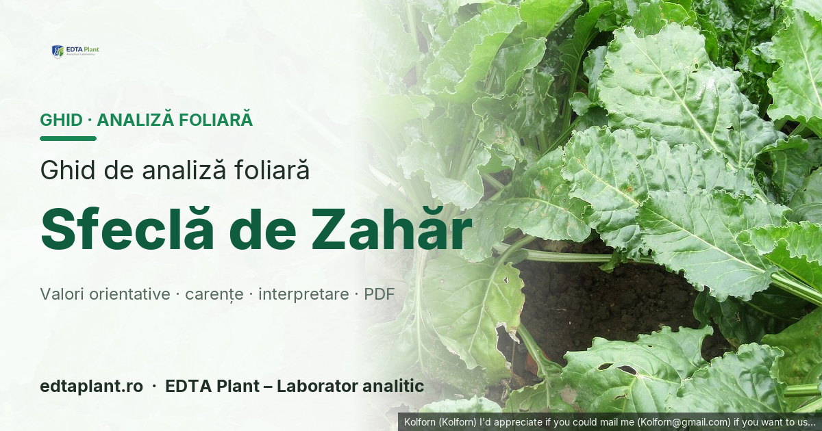 Sfeclă de Zahăr (Beta vulgaris L. subsp. vulgaris, grup Altissima) — ghid de analiză foliară EDTA Plant