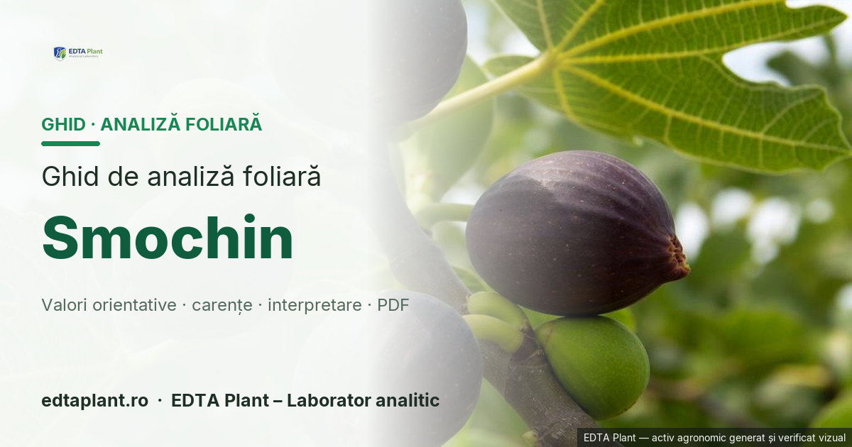 Smochin (Ficus carica L.) — ghid de analiză foliară EDTA Plant