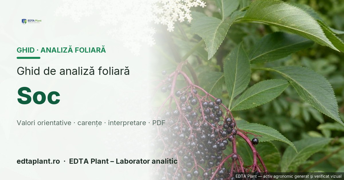 Soc (Sambucus nigra L.) — ghid de analiză foliară EDTA Plant