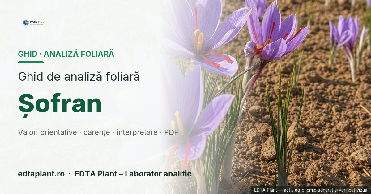 Șofran (Crocus sativus L.) — ghid de analiză foliară EDTA Plant