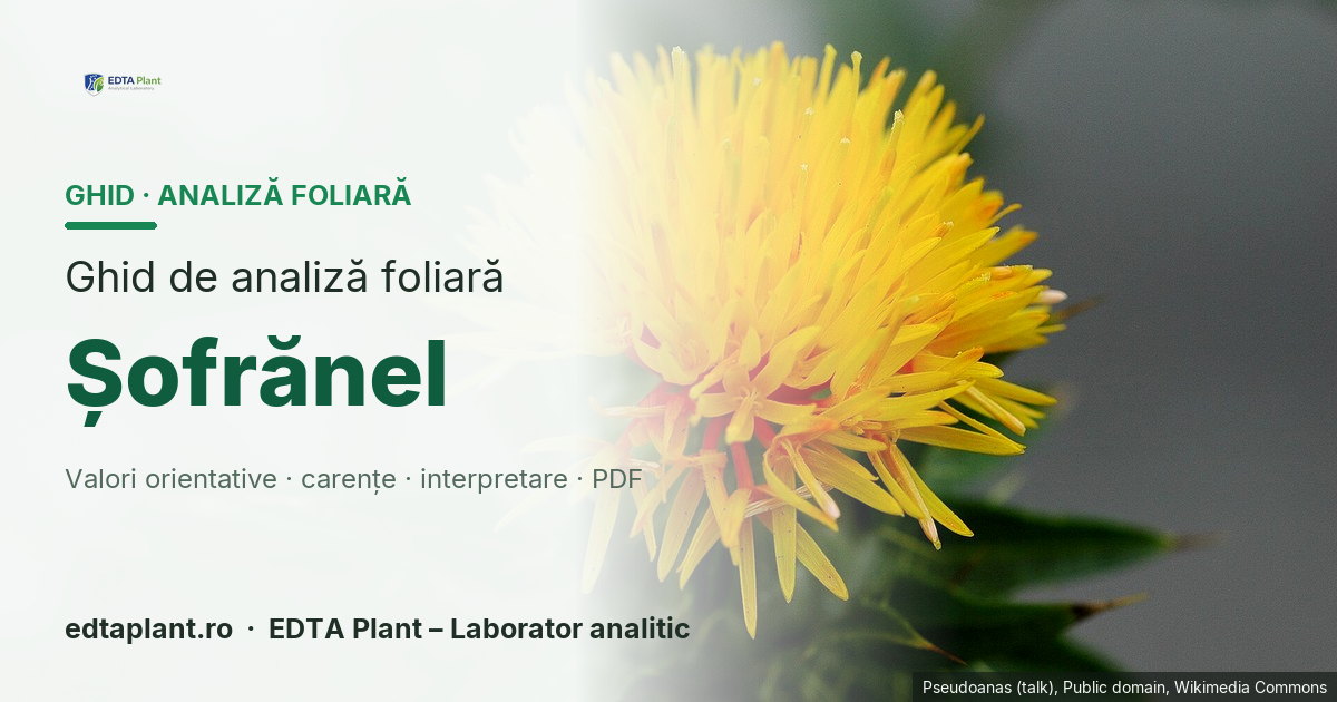 Șofrănel (Carthamus tinctorius L.) — ghid de analiză foliară EDTA Plant