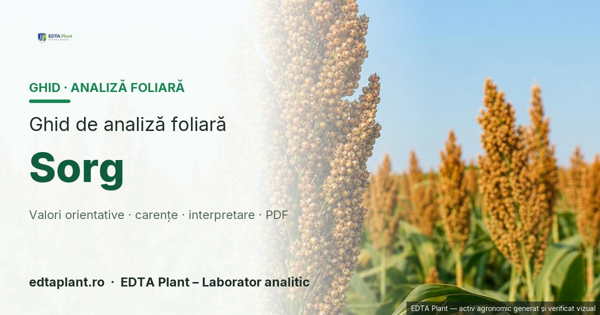 Sorg (Sorghum bicolor (L.) Moench) — ghid de analiză foliară EDTA Plant
