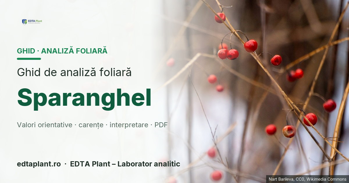 Sparanghel (Asparagus officinalis L.) — ghid de analiză foliară EDTA Plant
