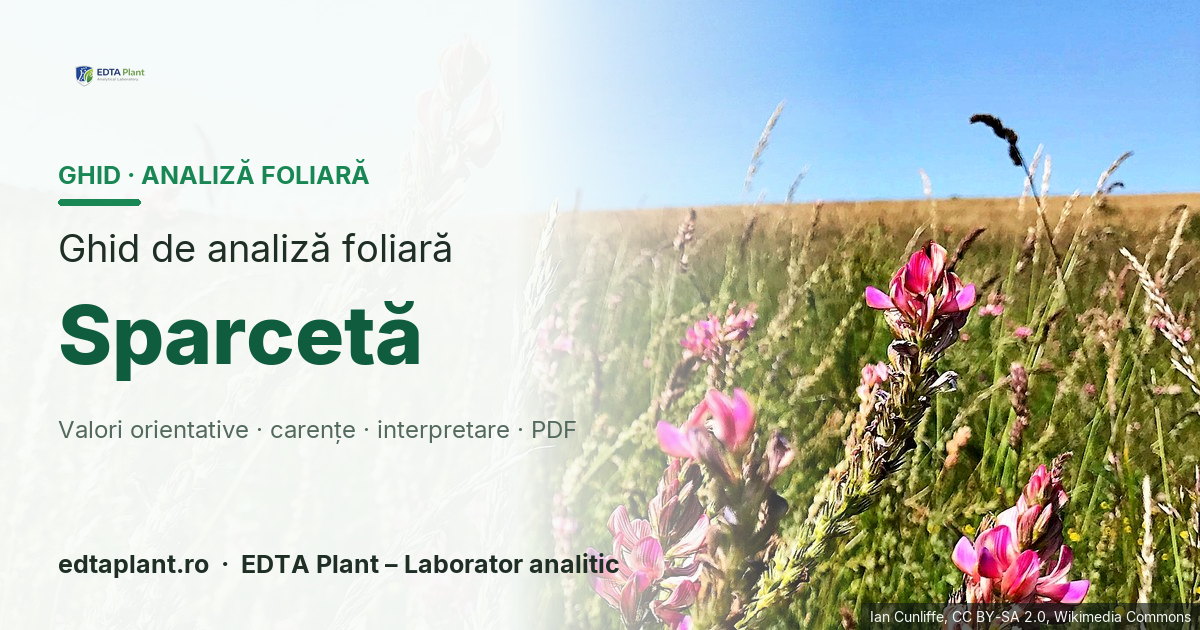 Sparcetă (Onobrychis viciifolia Scop.) — ghid de analiză foliară EDTA Plant
