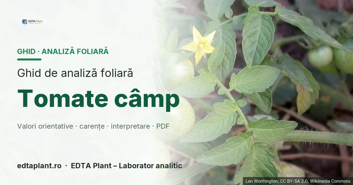 Tomate câmp (Solanum lycopersicum L.) — ghid de analiză foliară EDTA Plant