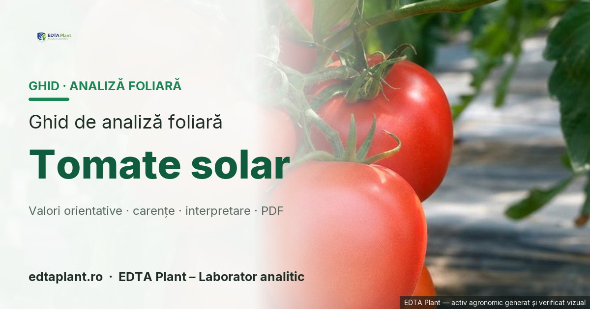 Tomate solar (Solanum lycopersicum L.) — ghid de analiză foliară EDTA Plant