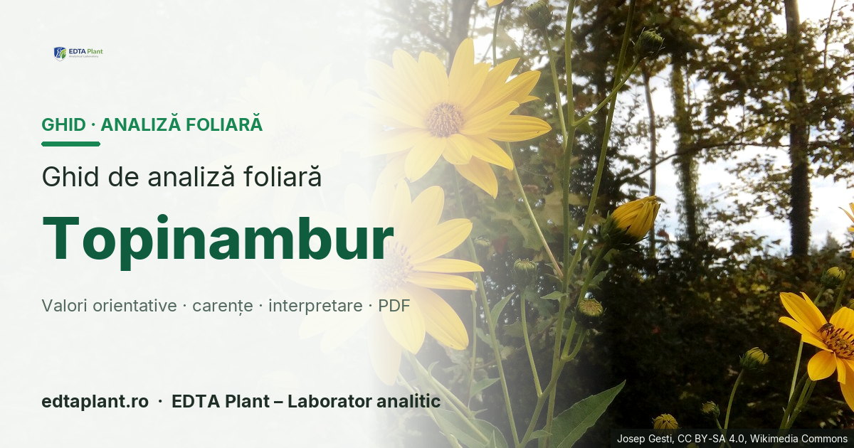 Topinambur (Helianthus tuberosus L.) — ghid de analiză foliară EDTA Plant