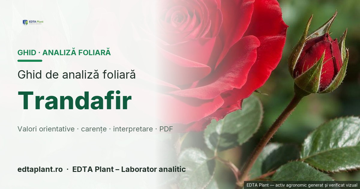 Trandafir (Rosa spp.) — ghid de analiză foliară EDTA Plant